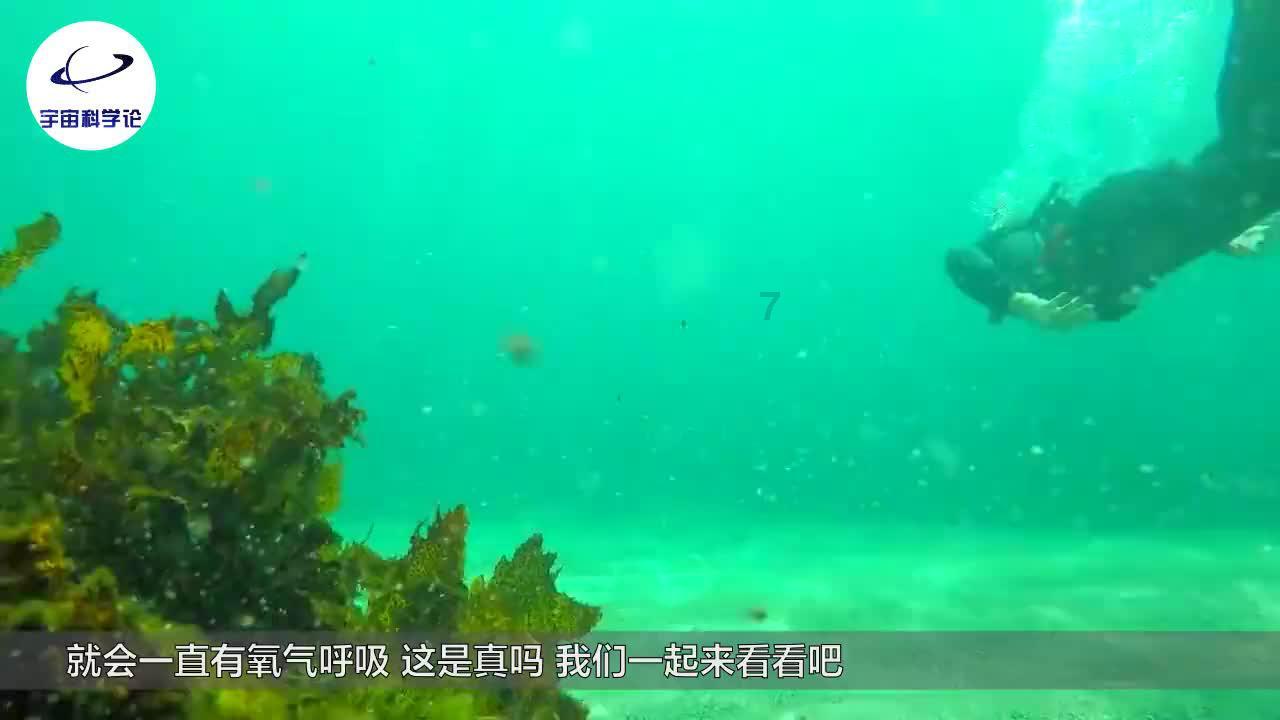 灌汤包的正宗做法游戏画面