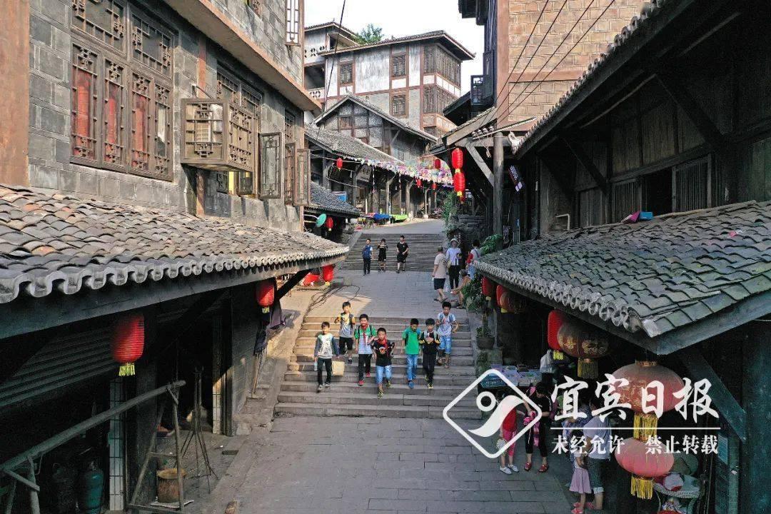 优雅的精灵